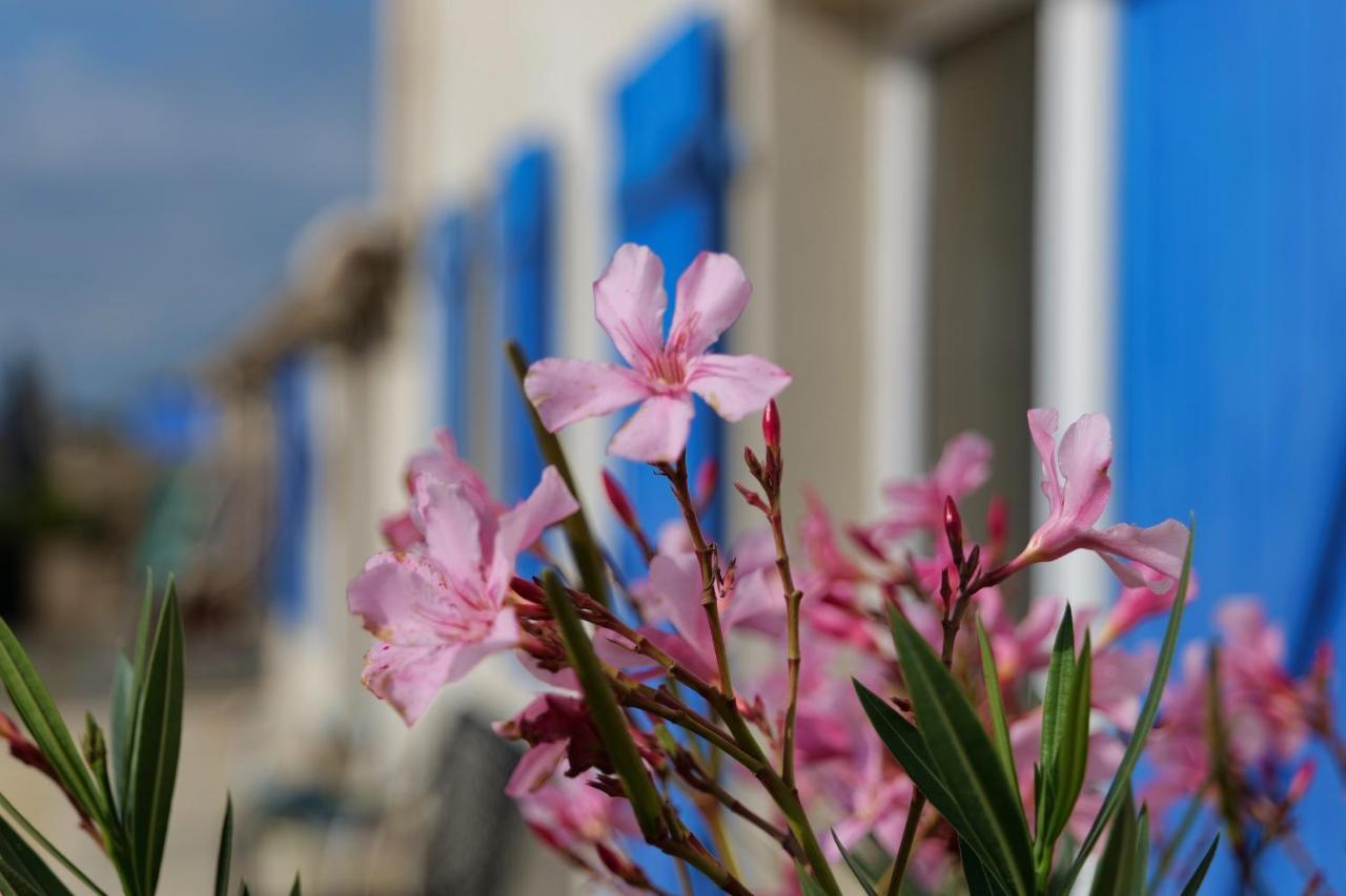 Moulin De Mauzac Bed & Breakfast Saint-Just-Luzac Bagian luar foto