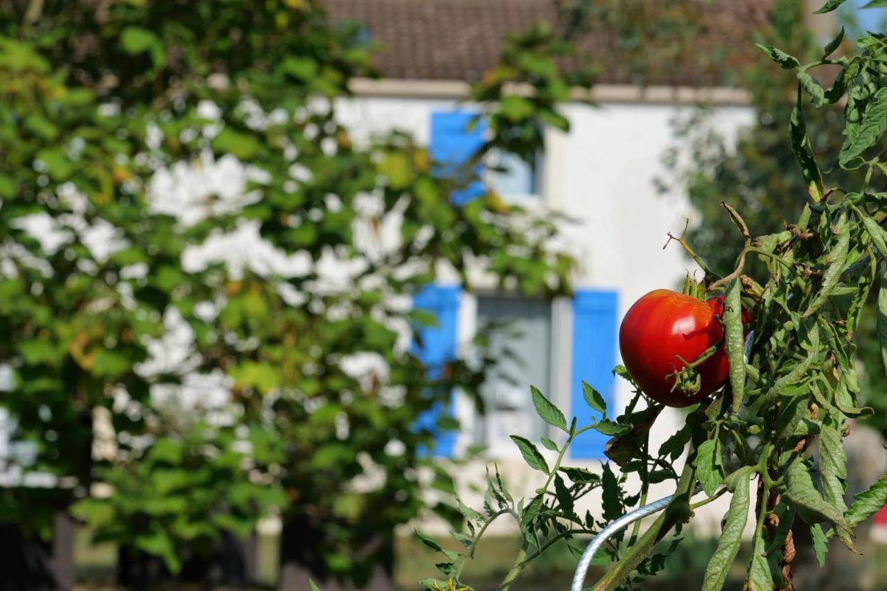 Moulin De Mauzac Bed & Breakfast Saint-Just-Luzac Bagian luar foto